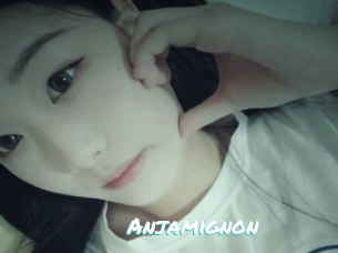 Anjamignon