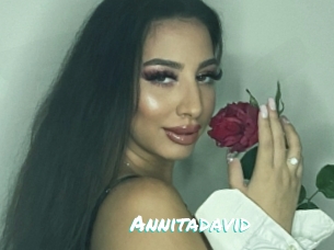 Annitadavid