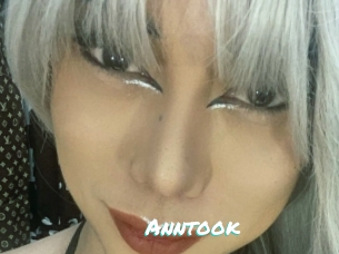 Anntook