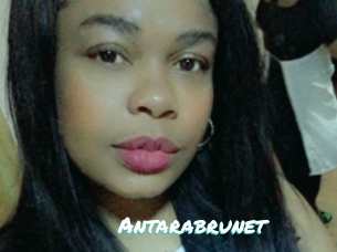 Antarabrunet