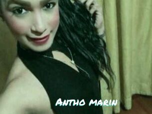 Antho_marin