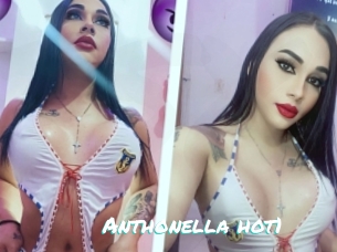 Anthonella_hot1