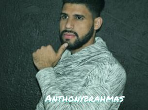 Anthonybrahmas