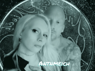 Antnmeich