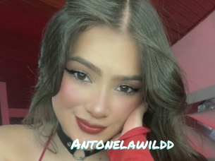 Antonelawildd