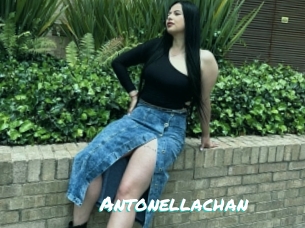 Antonellachan