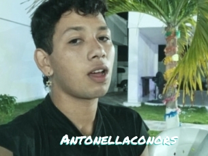 Antonellaconors