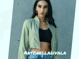 Antonelladivala