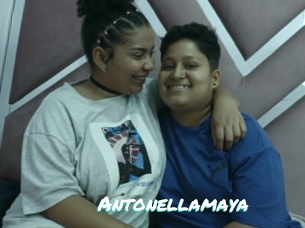 Antonellamaya