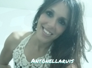 Antonellaruis