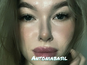 Antoniabasil