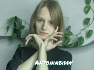 Antoniabiddy