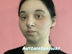 Antoniabradway