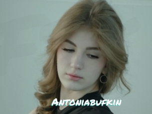 Antoniabufkin