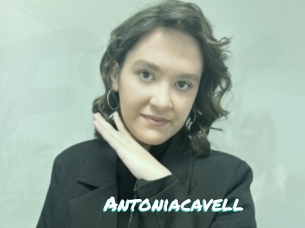 Antoniacavell