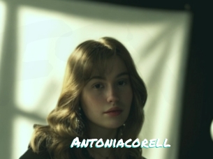 Antoniacorell