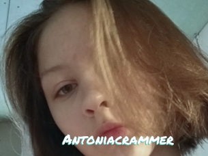Antoniacrammer