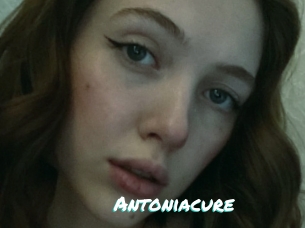 Antoniacure