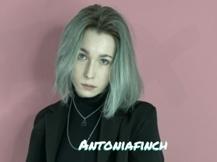 Antoniafinch