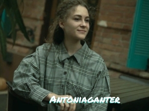 Antoniaganter