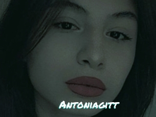 Antoniagitt