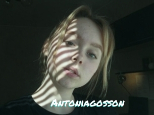 Antoniagosson