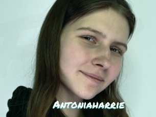 Antoniaharrie