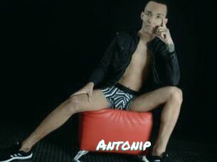 Antonip