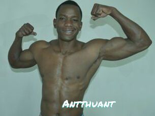 Antthuant
