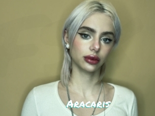 Aracaris