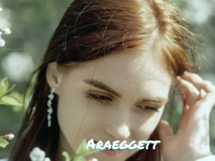 Araeggett