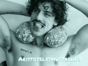 Aristotelesmustache18