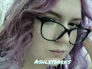 Ashleybarks