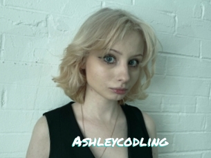 Ashleycodling