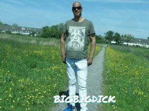 BIGBIGDICK
