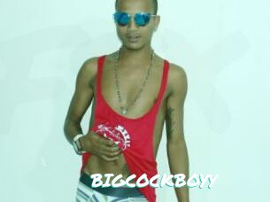 BIGCOCKBOYY