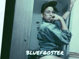 BLUEFOOSTER