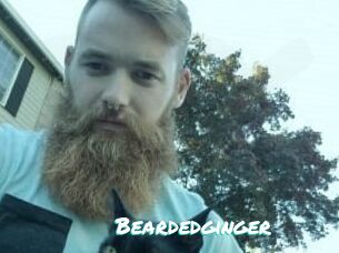 Beardedginger
