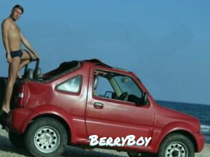 BerryBoy