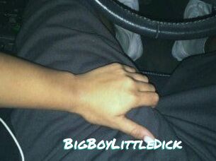BigBoyLittleDick