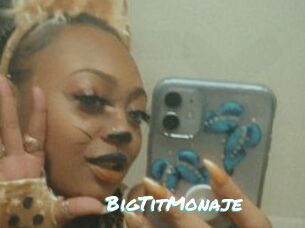 BigTitMonaje