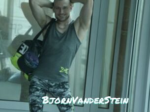 BjornVanderStein