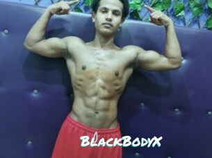 BlackBodyX