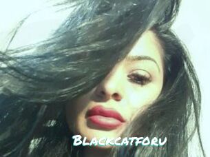 Blackcatforu