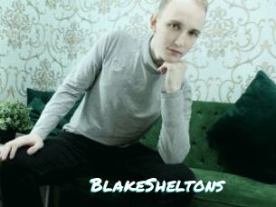 BlakeSheltons