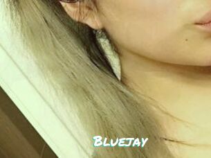 Blue_jay
