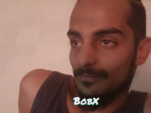 BobX