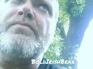 BoldIrishBear