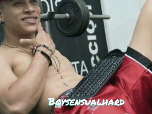 Boysensualhard