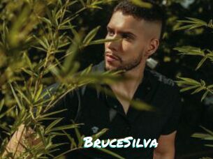 BruceSilva